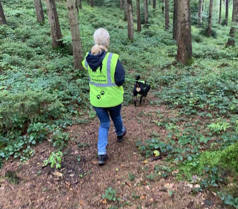 Wald und Regen 14. September 2023