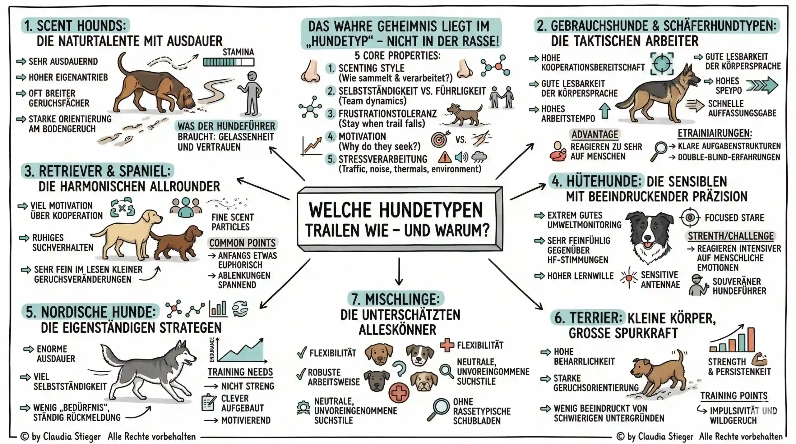 Mantrailingtypen Wie trailen Hundetypen